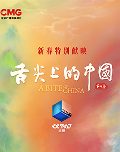 舌尖上的中国 第四季(全集)