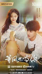 等风也等你(全集)