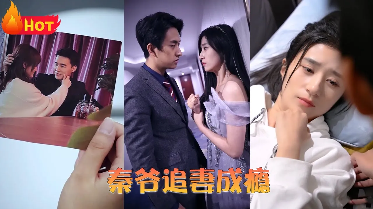 秦爷追妻成瘾 全集(大结局)