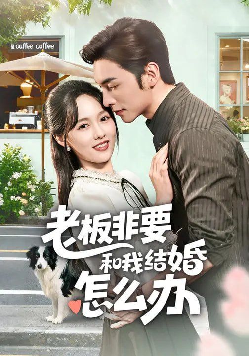 老板非要和我结婚怎么办(全集)