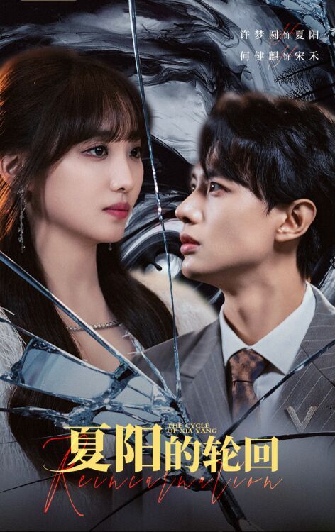 夏阳的轮回 第41-60集